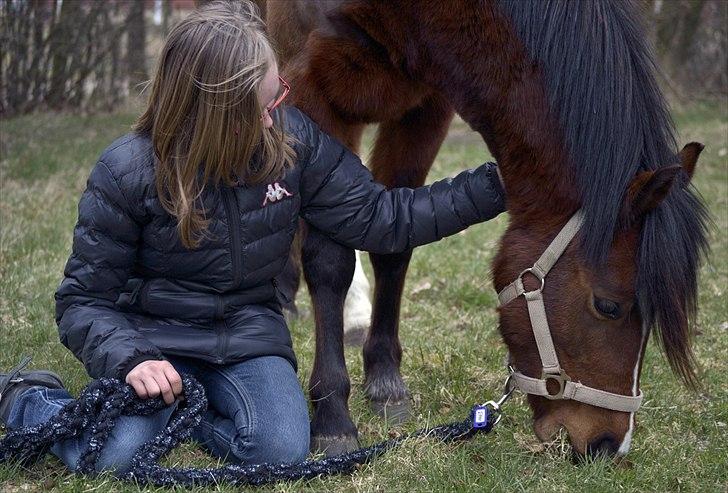 Hollandsk Sportspony no fear - Kommer til at savne dig pony <3 
http://mathildedanmarkphoto.weebly.com/ billede 14