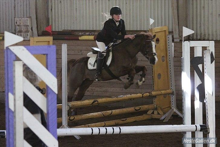 Welsh Pony (sec B) Mikkel - LC på SRÅ + 3 Plads !<3 billede 19