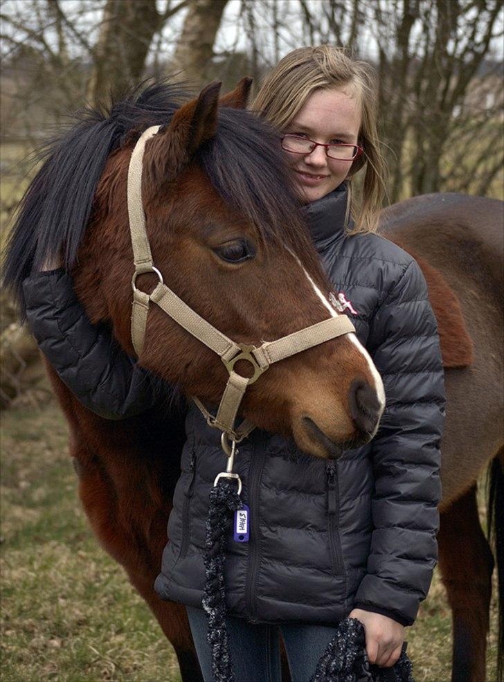 Hollandsk Sportspony no fear - Hvor er du dejlig<3
http://mathildedanmarkphoto.weebly.com/ billede 3