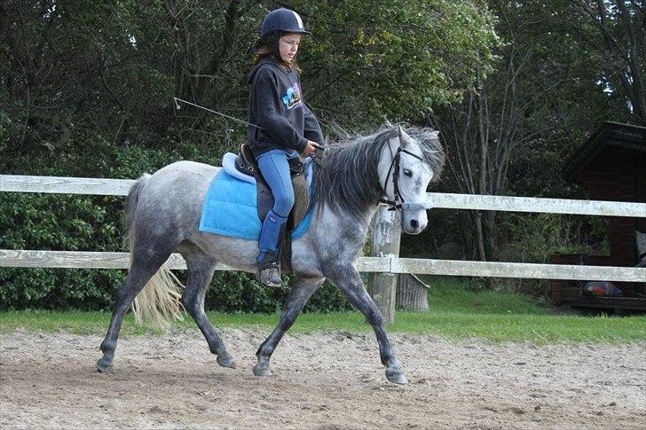 Dartmoor Godbjergs Nuggi<3<3 billede 5