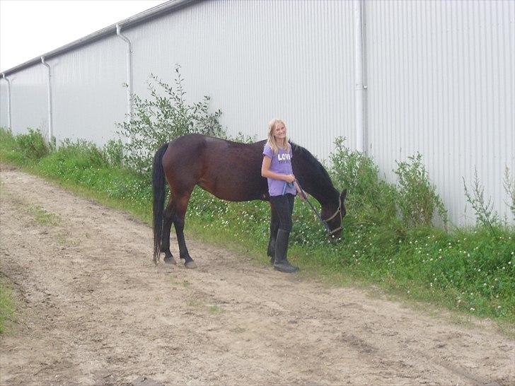 Connemara Tobæks Isabella <3 - på vej på fold billede 4