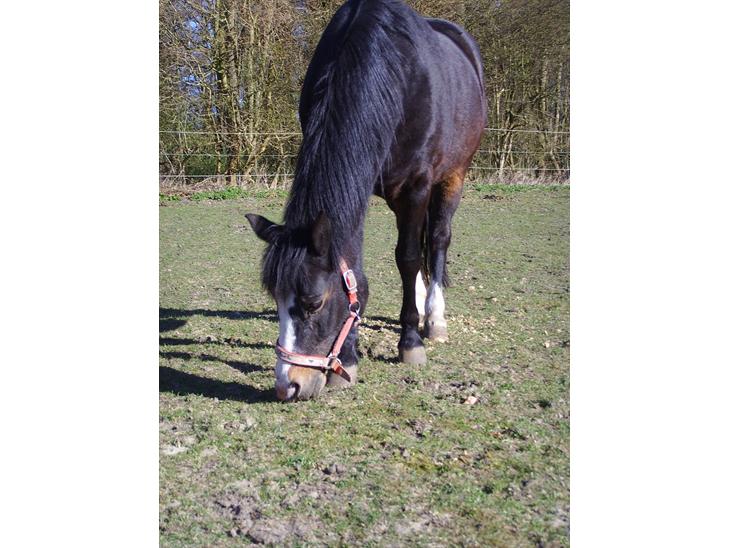 {{currentPhoto.altText}} billede {{currentPhoto.number}}