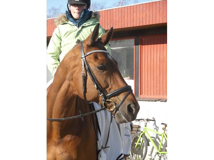 {{currentPhoto.altText}} billede {{currentPhoto.number}}