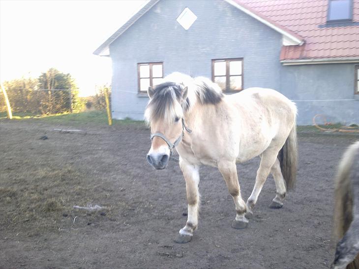 {{currentPhoto.altText}} billede {{currentPhoto.number}}