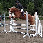 Anden særlig race Lucky One