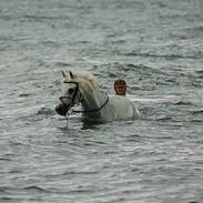 Connemara Skatholm Bodyguard