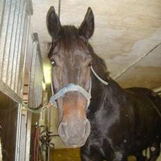 Oldenborg Egelund Kaifas R.I.P 