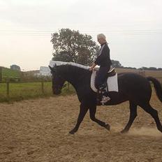 Oldenborg Egelund Kaifas R.I.P 