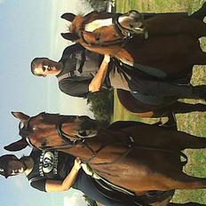 Anden særlig race Tarzan