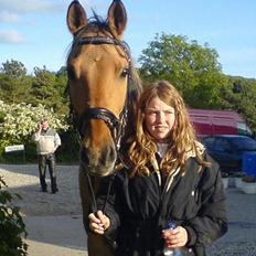 Anden særlig race *HIMMELHEST* elevhest Laban!