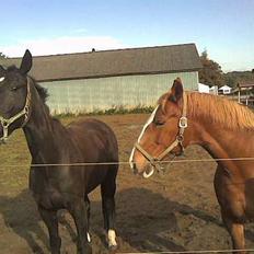 Frederiksborg Lise - DØD d. 27 april 07