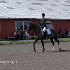 Oldenborg Katcha