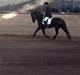 Frieser Kleine May STER