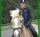 Haflinger Balder Gl. Halvpart