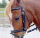 Palomino Stargolds Kalina (Død)