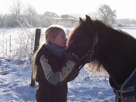 Anden særlig race Triumph  - I sneen <3 Elsker den tøs så meget <3  billede 8