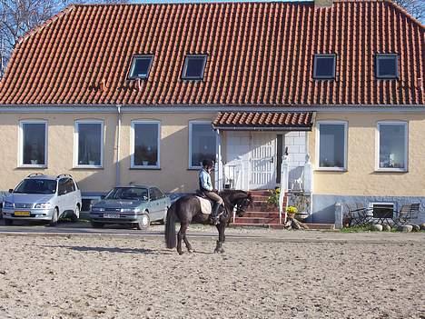 Anden særlig race Triumph  - Smukke trisse på banen..  billede 12