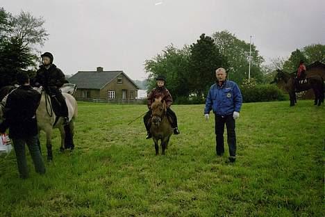 Shetlænder Obelix "efterlysning" - ringridning 2001 billede 5