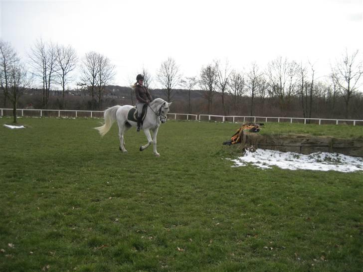 Sportsaraber (A) Lukas - Jaaa på fold:) billede 18