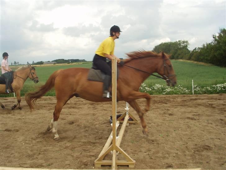 Dansk Varmblod May Julaga R.I.P - nyt: May julaga der springer:D billede 4