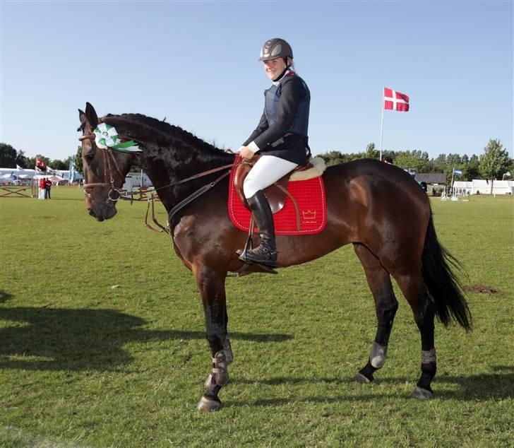 Dansk Varmblod Højbo´s Chana - 2) Chana med sin roset efter springningen på dyrske 2009 billede 2