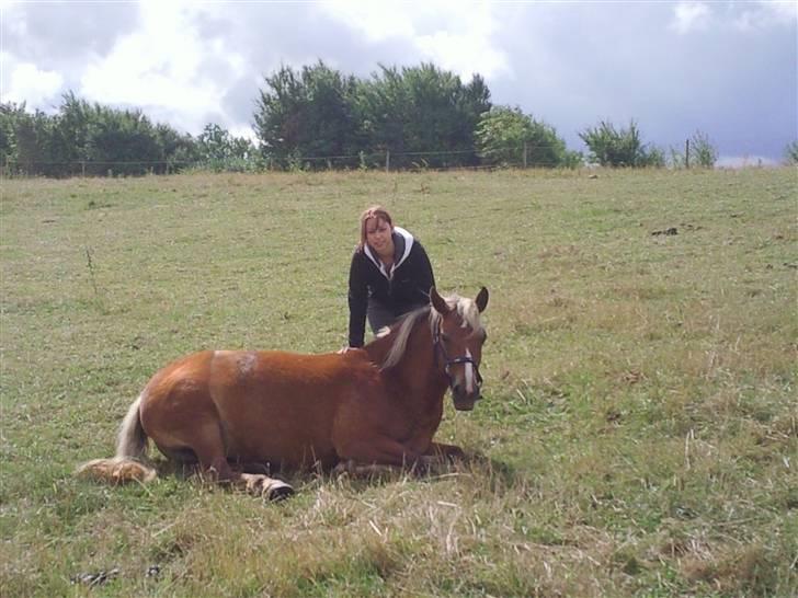 Anden særlig race ***Penelope*** - kunne ikke nenne at at får hende op, så det var lige før jeg tog en lur med:) sommer 08 billede 9