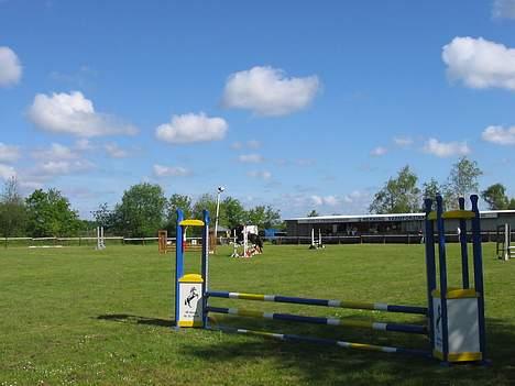 Anden særlig race black Girl-solgt billede 3