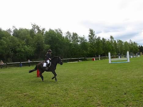 Anden særlig race black Girl-solgt billede 8