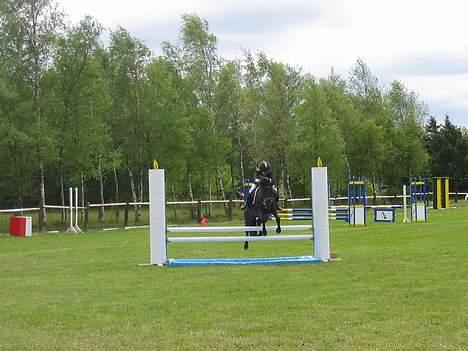 Anden særlig race black Girl-solgt billede 9