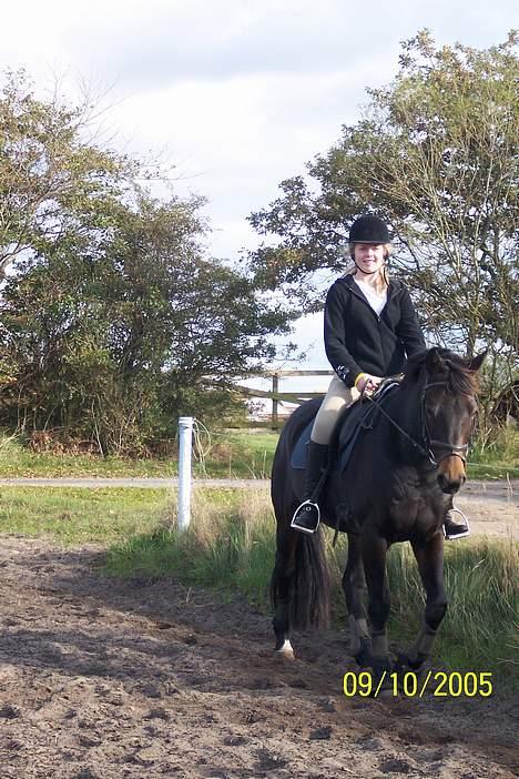 Dansk Varmblod Columbine AFLIVET - Tror jeg havde haft hende i 2 uger der billede 12