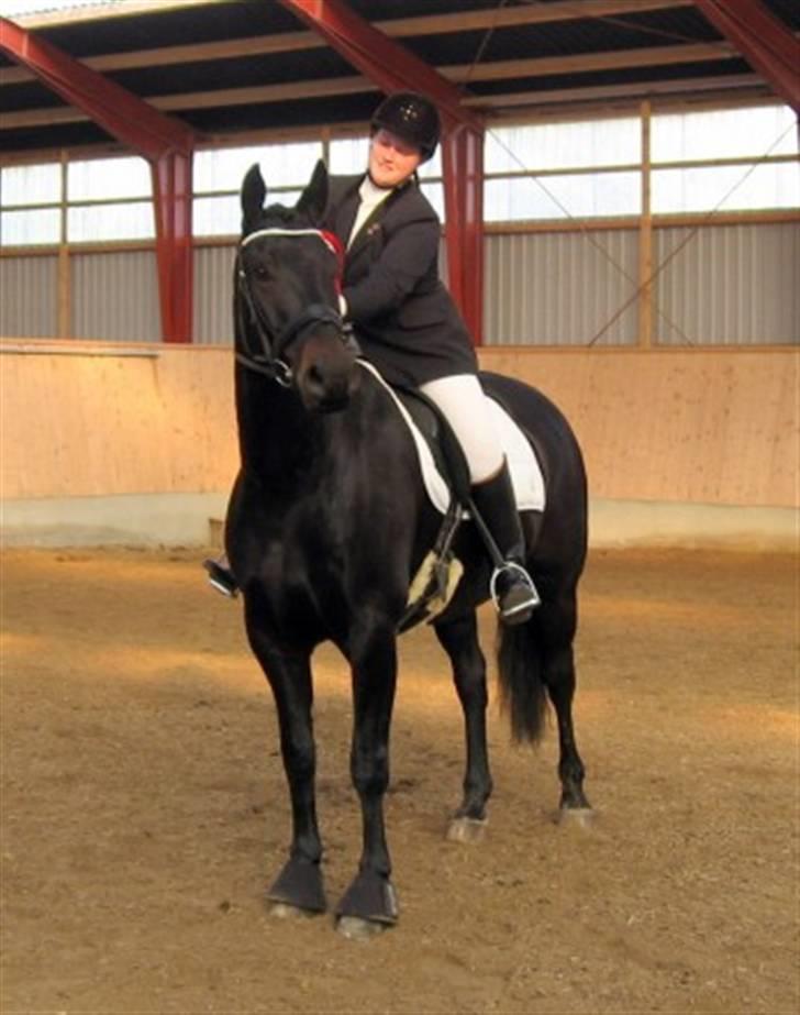 Anden særlig race Nazal - Solgt - Første plads i LB1. billede 14