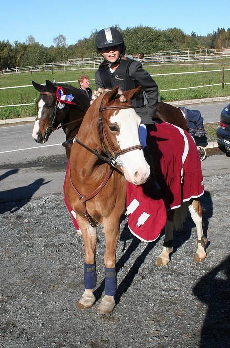 Anden særlig race Lucky One billede 12