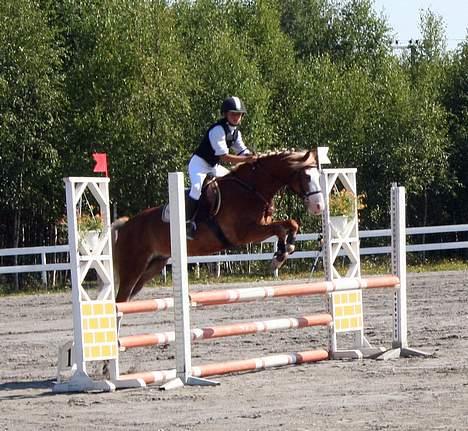 Anden særlig race Lucky One - LB landsstævne billede 13