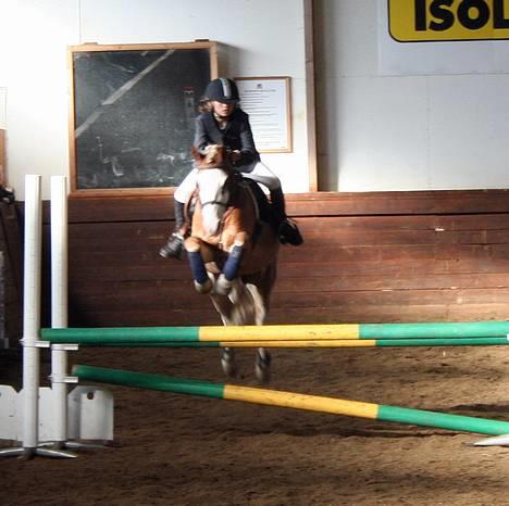 Anden særlig race Lucky One - distriktsstævne 80cm eller 90cm, blev nr 2 billede 18