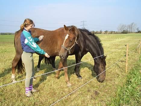 Traver Pam n s  •RIP• billede 18