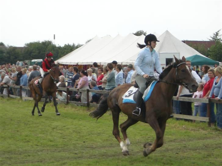 Traver Pam n s  •RIP• - pandrup galopløb billede 19