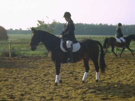 Oldenborg Linka - Linka og mig til dressur stævne på JKRK den 1 okt 2006 billede 17