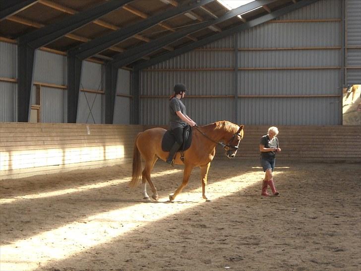 Knabstrupper Max Bounty *solgt* - undervisning aug. 2010 billede 2