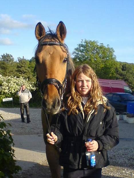 Anden særlig race *HIMMELHEST* elevhest Laban! - Laban Og Mathilde de er så søde<33 billede 3