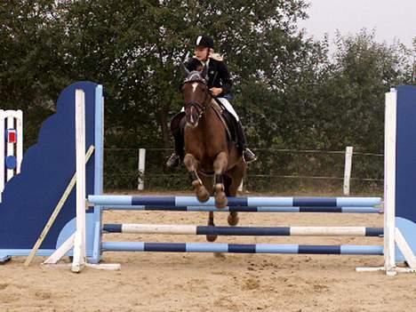 Anden særlig race  * Simon *   (Solgt) :'(  - Stævne i Hylke <3 billede 10