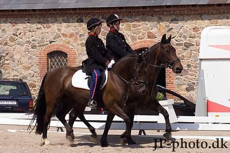 Oldenborg Linka billede 19