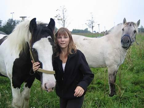 Irish Cob Silas :b  - Mig og elskede Christina :D billede 16