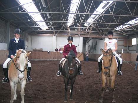 Anden særlig race *HIMMELHEST* elevhest Laban! - Her ER så jeg og mathilde camilla og sander og så emilie og deisy er helt vild med Daisy<3 dengang vi alle sammen var der :/ billede 7