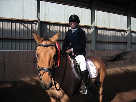 Anden særlig race *HIMMELHEST* elevhest Laban! - Stævne nu jeg ved aT vare godt Træt ZzzZzz (Rytter: Hp) billede 8