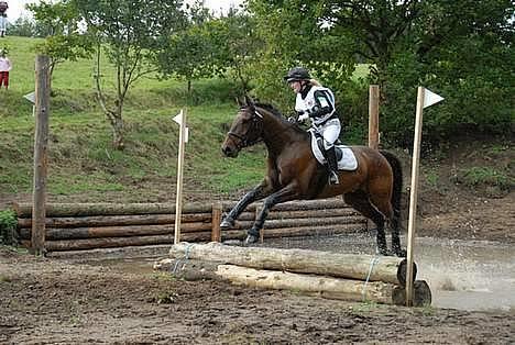 Anden særlig race Frits  - Military stævne i Hammel d. 8.10 billede 9