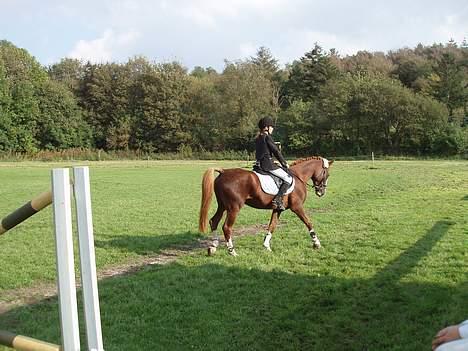 Anden særlig race Starlight <33 - På vej ud fra præmie overrækkelse , 1 plads LD .. Andet stævne <3 Dygtig Muus <3 billede 6