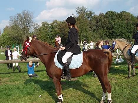 Anden særlig race Starlight <33 - Billede <33 <33 billede 7