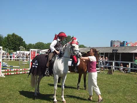 Sportsaraber (A) Lukas - Præmieoverrakelse til dyreskuet :-D billede 19