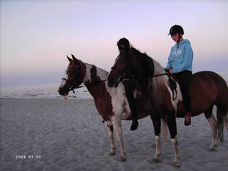 Pinto Wakan. billede 11