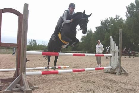 Hollandsk Sportspony Moonlight *SOLGT :´(* - Natalie Herluf som springer på moonlight billede 5